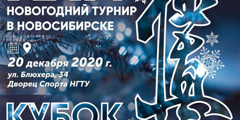 Кубок России и XIV НОВОГОДНИЙ ТУРНИР по киокусинкай